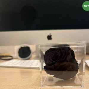 Black Preserved Rose Forever