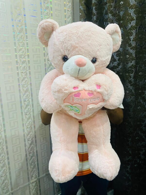 Buy Teddy Bear in Lahore