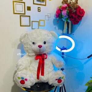 Buy Cute Teddy in Lahore