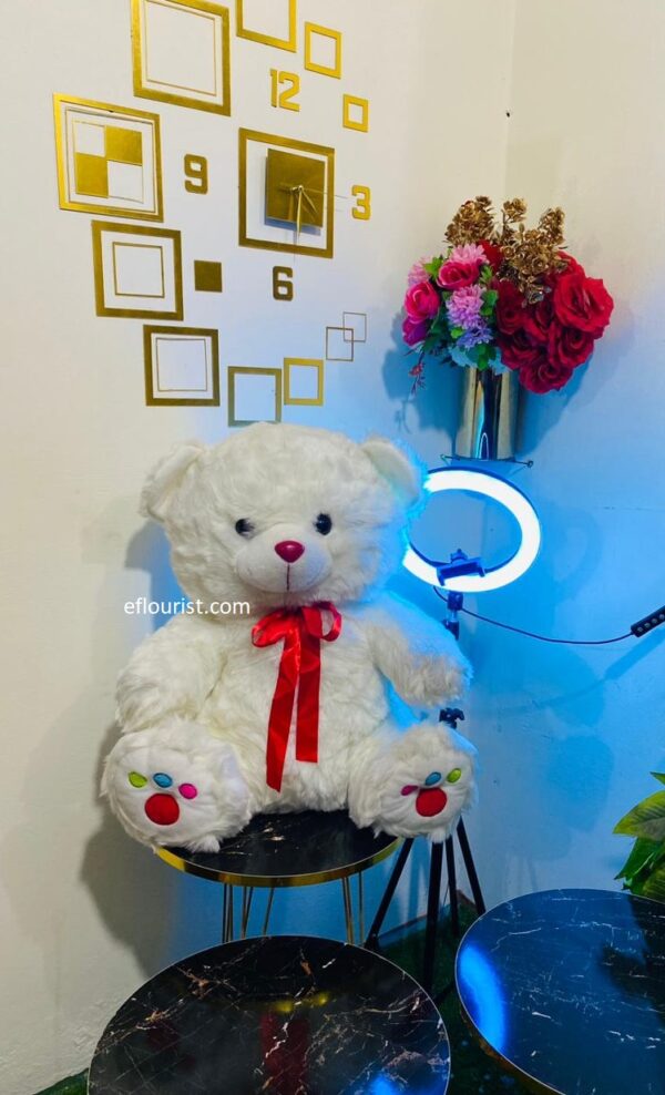 Buy Cute Teddy in Lahore