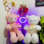 Buy Teddy Bear in Islamabad