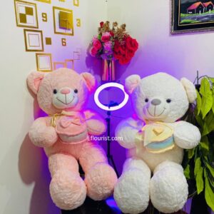 Buy Teddy Bear in Islamabad