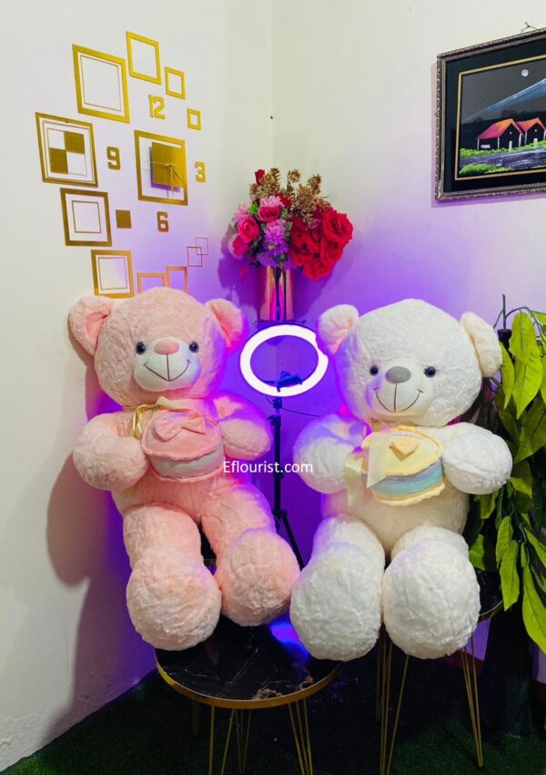 Buy Teddy Bear in Islamabad