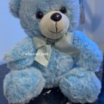 Cute Teddy Bear For Kids