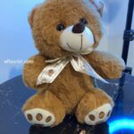 Buy Teddy For Kids in Lahore