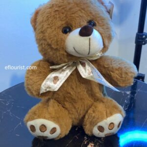 Buy Teddy For Kids in Lahore