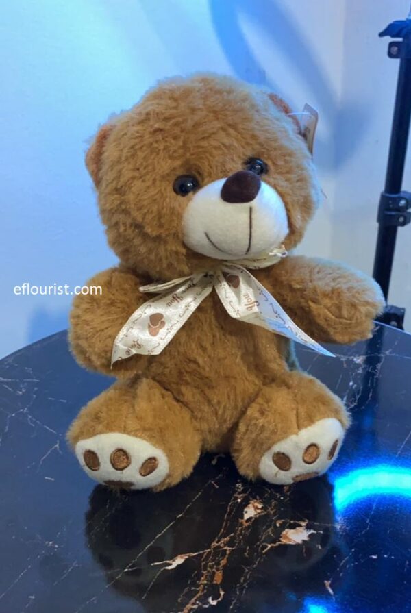 Buy Teddy For Kids in Lahore