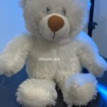 Buy Teddy Bear Online in Lahore