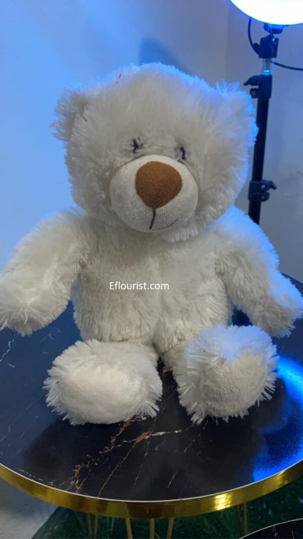 Buy Teddy Bear Online in Lahore