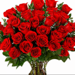A classic red rose bouquet wrapped in clear cellophane with a red satin ribbon bow.