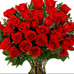 A classic red rose bouquet wrapped in clear cellophane with a red satin ribbon bow.