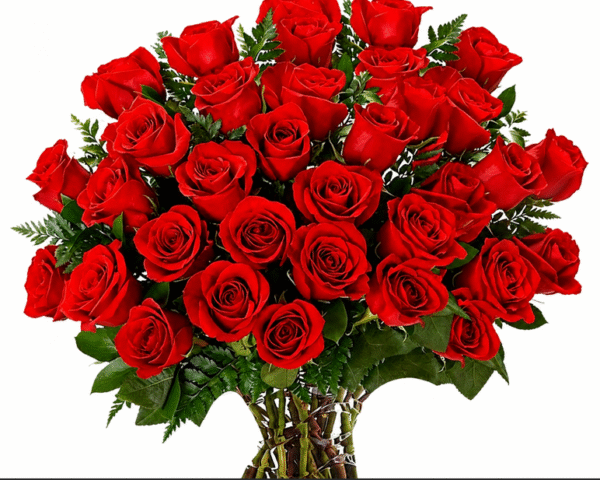 A classic red rose bouquet wrapped in clear cellophane with a red satin ribbon bow.