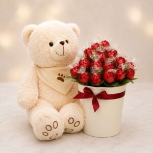 A cute teddy bear and chocolate bucket set, available for Teddy and chocolate delivery Lahore.