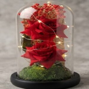 An illuminated enchanted rose dome, popular among anniversary gift ideas Lahore.