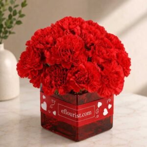 Red carnations in box Valentine gift delivery Lahore